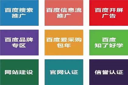 SEM竞价推广案例：打造行业领先的广告投放策略